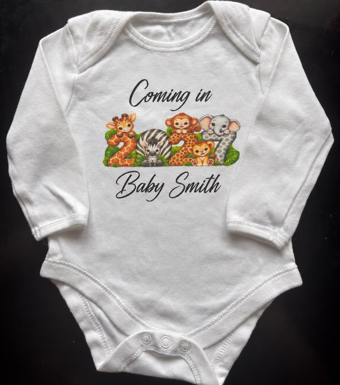 Safari Announcement Vest